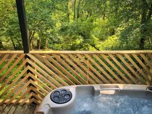 Goldcrest 3-Hot Tub-Woodland Lodges-Carmarthenshire-Tenby - Llanwinio