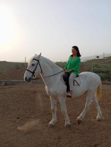 Tantulia la casita del Caballo