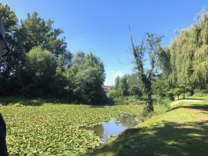 Maisons de vacances Beautiful Village House next to Garonne river! : photos des chambres
