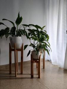 Spacious bright apartment with garage in Cordoba