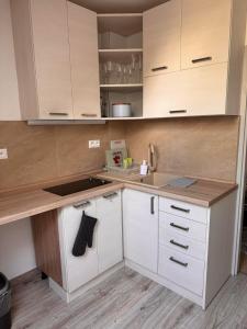 Apartman RUŽA7