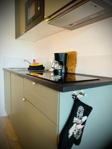 Flamingo Studios Zeeland