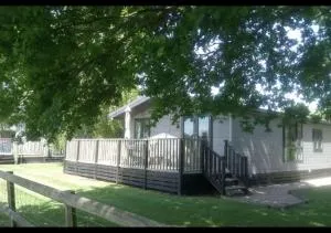 Rainbow Petty - Romney Marsh, Kent - Stone