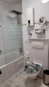 App mit Klima, Pool, Garage für Auto, Bike, Skier, AktivCARD optional