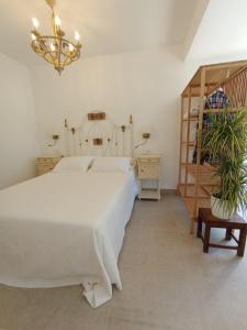 Habitaciones en CASA MIGUEL