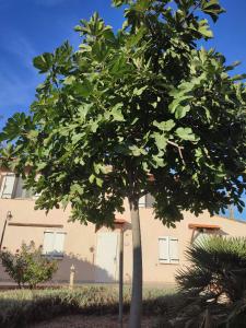Appartements La Bastide de Claude : photos des chambres