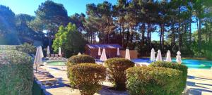 Au milieu des pins, charmant appartement de 38 m2 - 4 personnes - Domaine du Golf