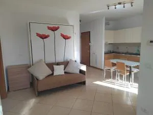 Amore se - أسيليا