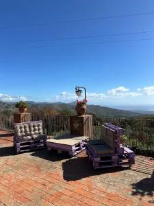 Tenuta Reganati - Presa