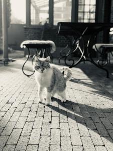 Guesthouse t Goed Leven