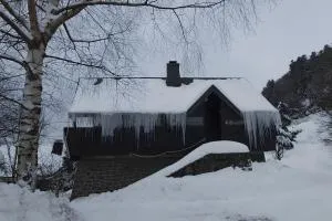 Chalet les Sonnailles - 拉克河畔尚邦