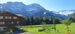 Chalet Casa Rosina - Elsigbach