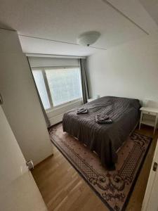 Saunallinen & rauhallinen asunto