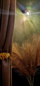 Zz Apartment Silk District