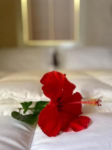 Maison Yolo - Slow Living Sicily