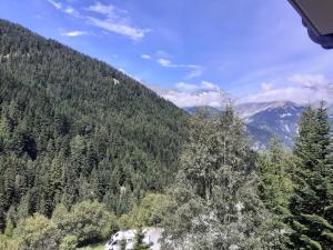 Chalet du Thabor - 2 Pièces pour 4 Personnes MAE-5011