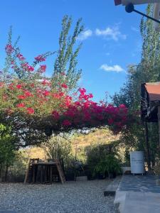 Finca el Remanso de Marta