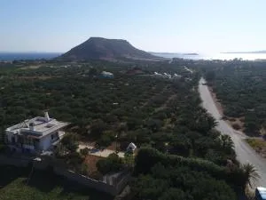 Diktynna Villa - Anevató