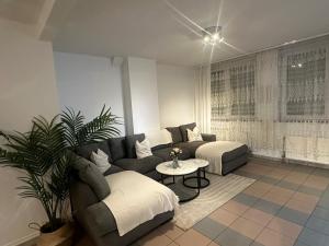 La belle étoile de Bruxelles