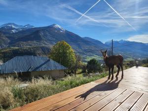 Chalets Chalet de montagne, Piscine avec vue et bain nordique : photos des chambres