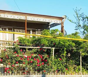 Guest house Glicinia