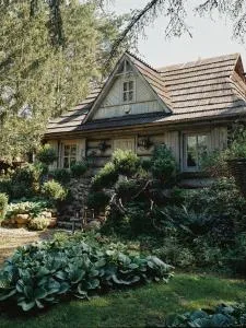 Przystanek Zielnik - Łosie