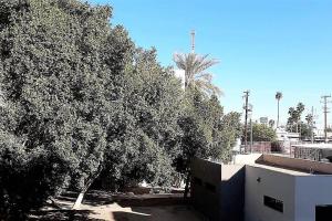 Departamento Amueblado La Mejor Colonia y Calle Mexicali- Colonia Nueva