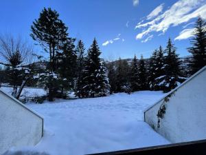Résidence Bois Des Coqs - Studio avec terrasse · Proche des pistes · Casier à skis MAE-0314