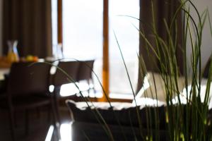 Résidence Signal Du Prorel - Studio avec coin montagne · Accès direct aux pistes · Wifi gratuit MAE-0714