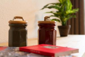 Résidence Signal Du Prorel - Studio entièrement rénové · Au pied des pistes · Au pied des pistes MAE-1014