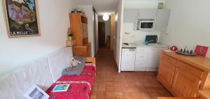 Résidence Grand Serre Che A - STUDIO COIN MONTAGNE 4 PERS MAE-4894