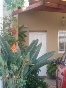 RAIZ DEL CIELO, entre 2 jardines de ensueño