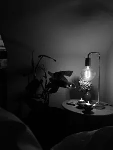 Apartament Zielony Stół - Modliszewko