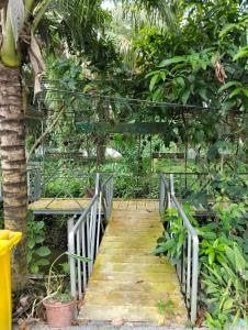 ตาปีรีสอร์ท 2018