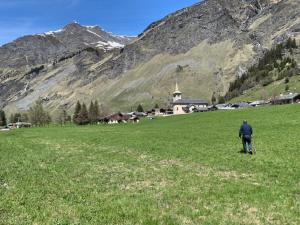 Prestigious chalet with views in Vanoise