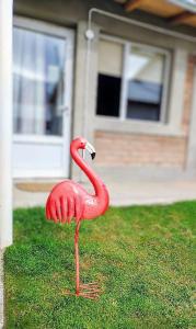 FLAMENCOS Apart - 3hvězdičkové hotely ve městě Esquel