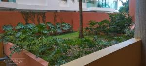 Newly Remodeled intro rate Caribbean Beachfront Getaway