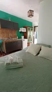 Hostal Pino Alto - 萨利纳斯