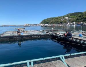 Greenmist Atami with Onsen