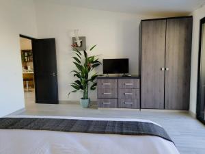 Unit 216-Casa Ricardo-Ocean View RENOVATED