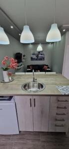 Apartmani i sobe Gromilovic Apartman 4