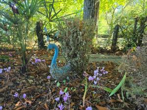 Rustique & authentique maison au vert