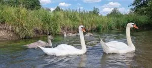 Dom w Zwierzyńcu nad wodą - Zwierzyniec