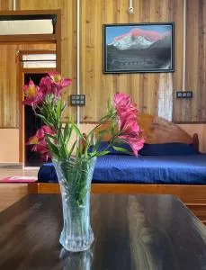 Satvik Jungle Farms - Bijanbāri Bāzār