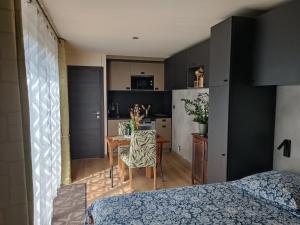 Appartements O Petit Jardin studio Cholet : photos des chambres