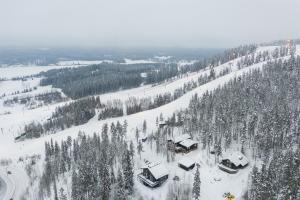 Villa FeelGood Himos