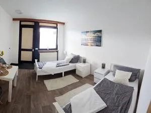 Fully Equipped Apartment - Contwig