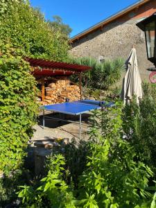 Appartements Gite Chez Nanou & Ju, Ste Croix Volvestre : photos des chambres