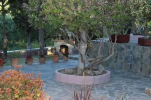 Elis studio luxury apartment