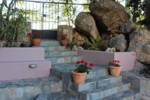 Elis studio luxury apartment